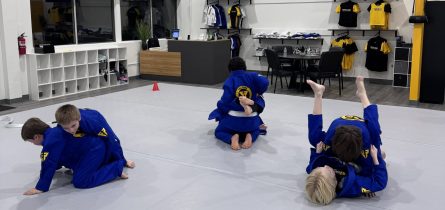 BJJ Classes Near Me